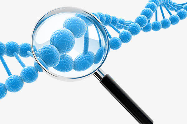 生物基因檢測