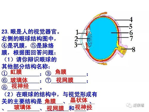 初中生物 重要識(shí)圖題填空歸納 建議收藏